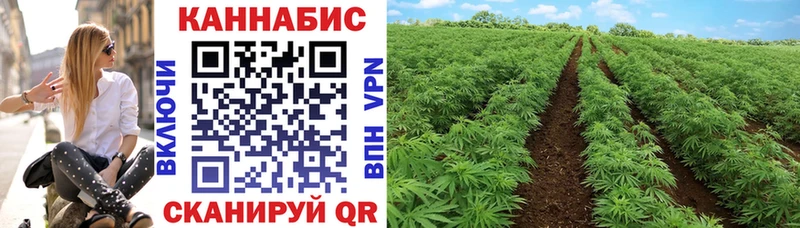 Бошки Шишки индика  Белёв 
